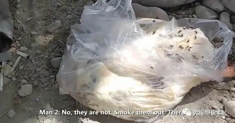 “全球最脏的人”终于洗了67年来第一个澡，结果，洗完就去世了……