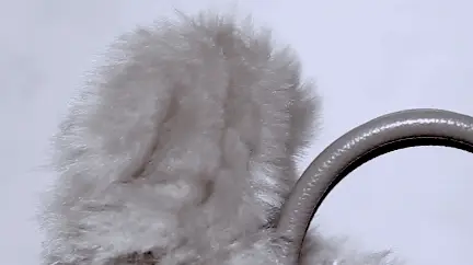 CES十大最酷黑科技：机器人、家电整活脑洞大开，有亿点点抽象 