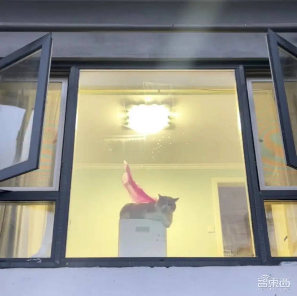 CES十大最酷黑科技：机器人、家电整活脑洞大开，有亿点点抽象 