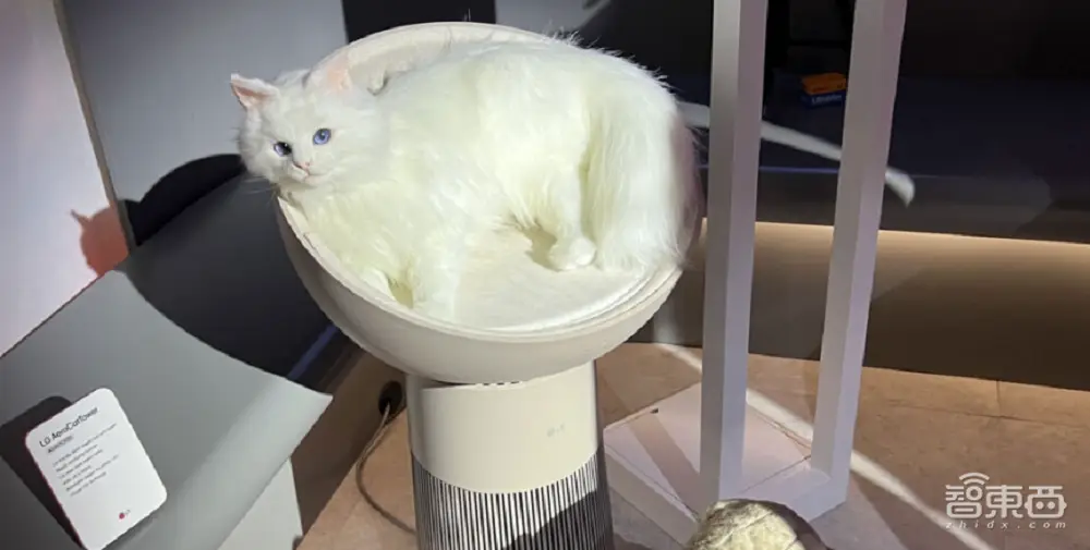 CES十大最酷黑科技：机器人、家电整活脑洞大开，有亿点点抽象 