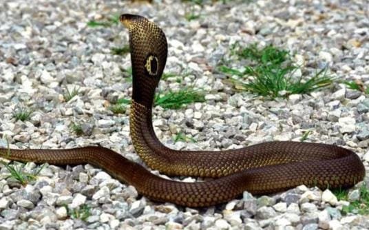 这25个科学趣味知识你知道多少？