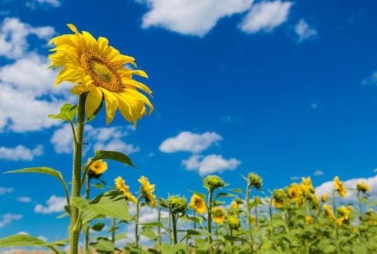 这25个科学趣味知识你知道多少？