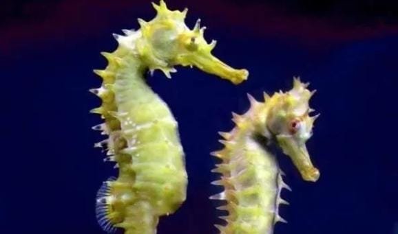 这25个科学趣味知识你知道多少？