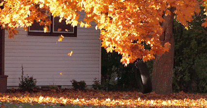 这25个科学趣味知识你知道多少？