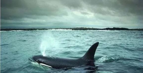 这25个科学趣味知识你知道多少？