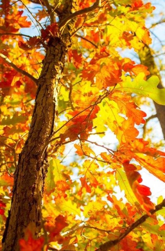 这25个科学趣味知识你知道多少？