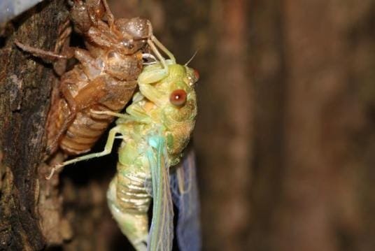 这25个科学趣味知识你知道多少？